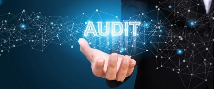 Capture d’écran : Assistant IA — audit de document